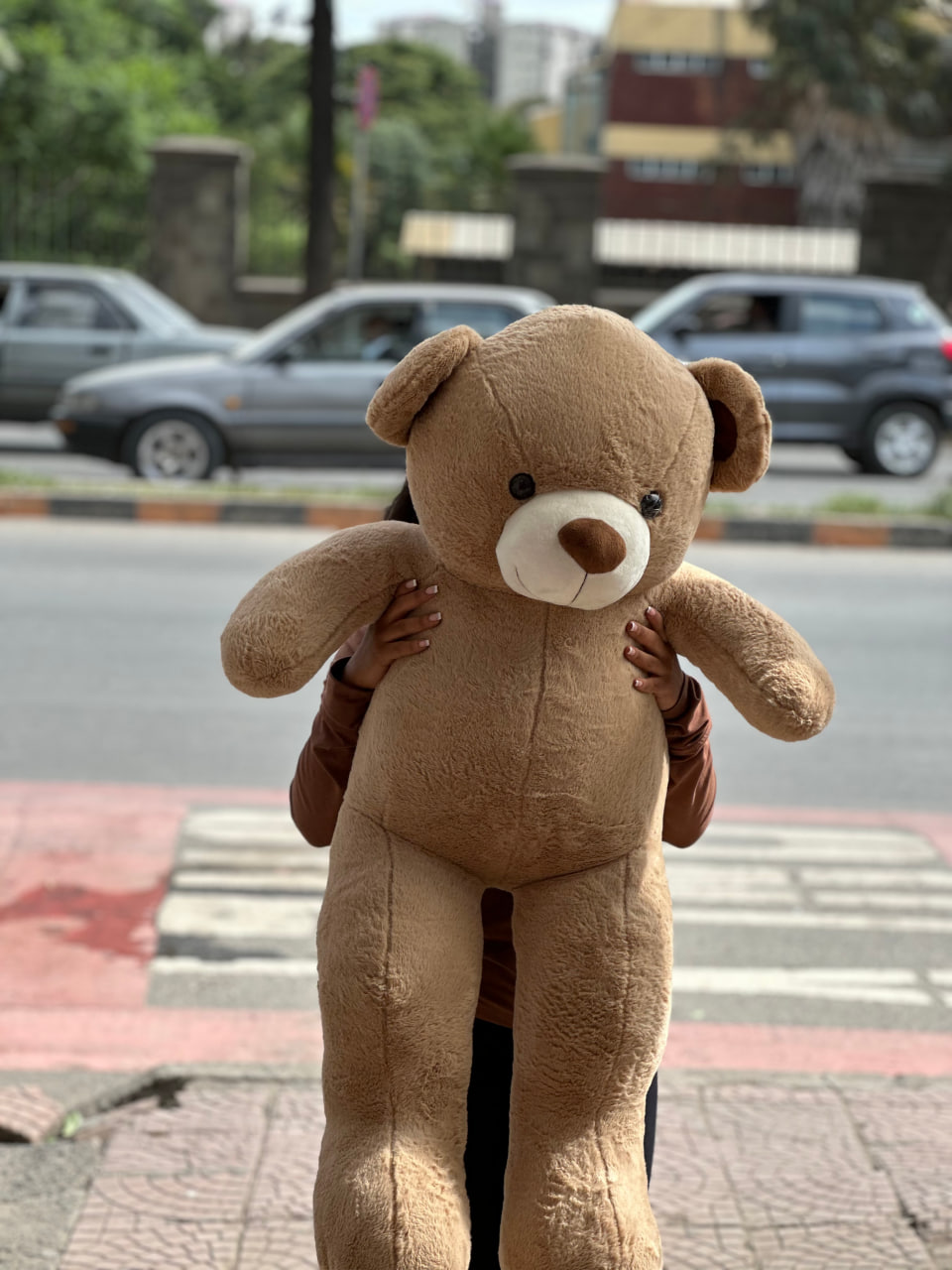 Adorable Teddy Bears for Every Occasion - Image 3