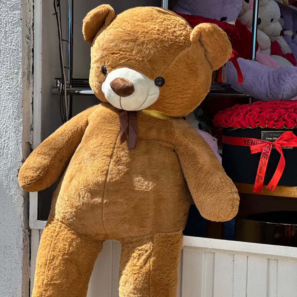 Adorable Teddy Bears for Every Occasion